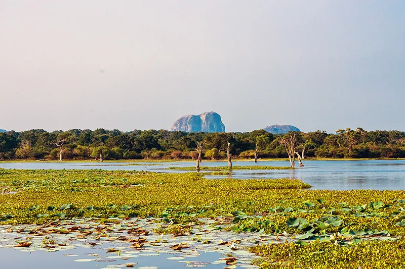 Sri Lanka foto